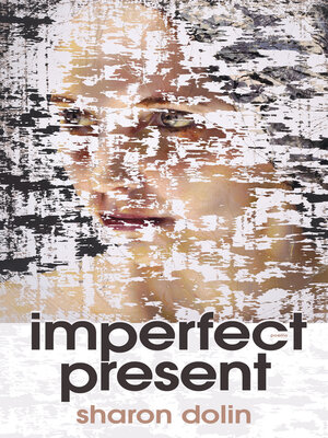 cover image of Imperfect Present